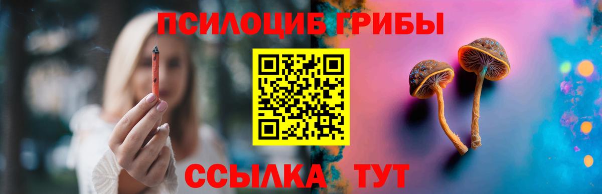 Псилоцибиновые грибы GOLDEN TEACHER  где можно купить наркотик  Чебаркуль  Вход с VPN 
